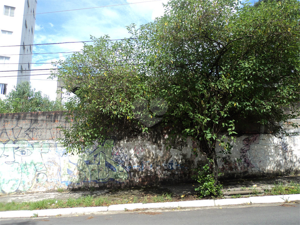 Venda Terreno São Paulo Barro Branco (zona Norte) REO176246 11