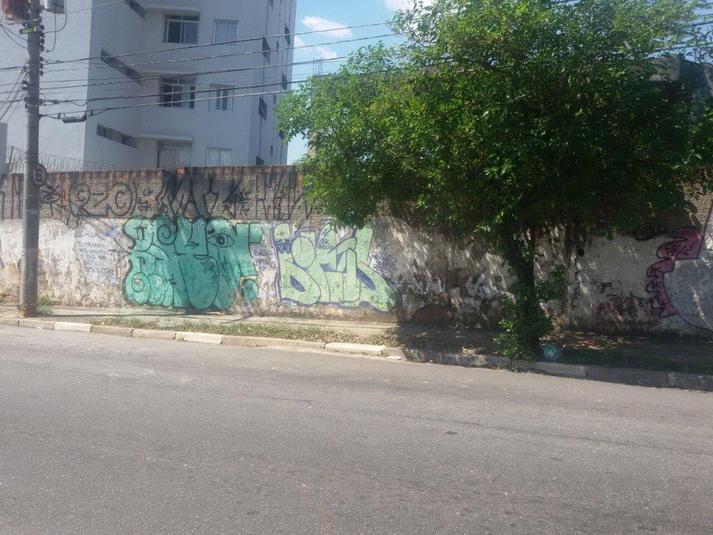 Foto REO176246