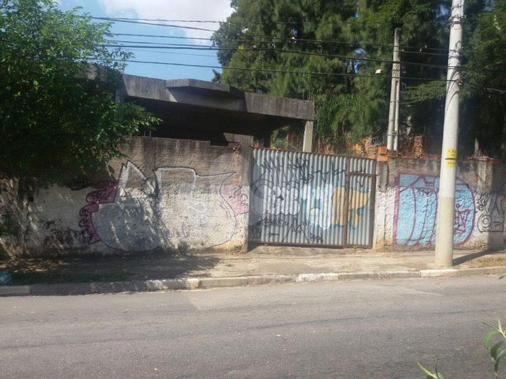 Foto REO176246