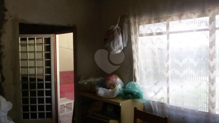 Foto REO176352