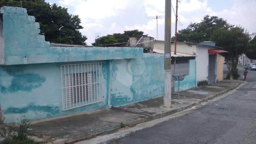Foto REO176496