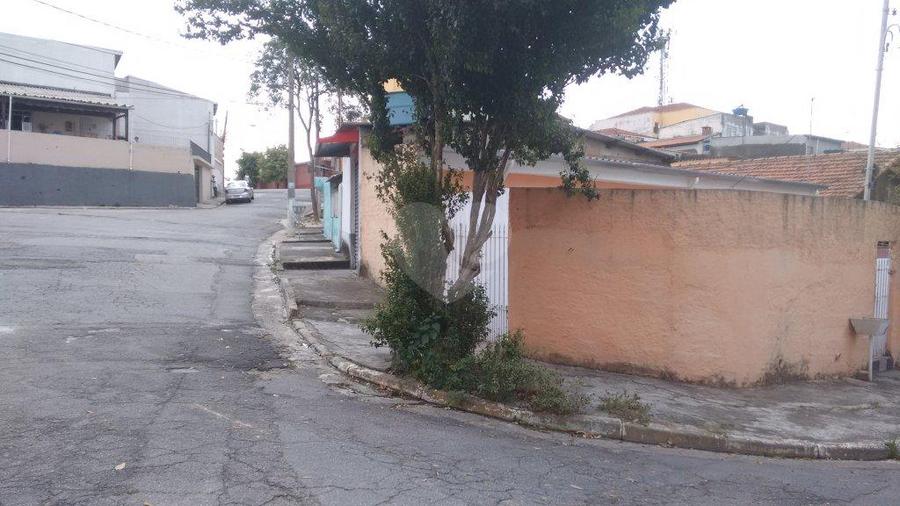 Foto REO176496