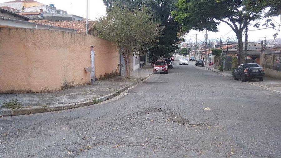 Foto REO176496