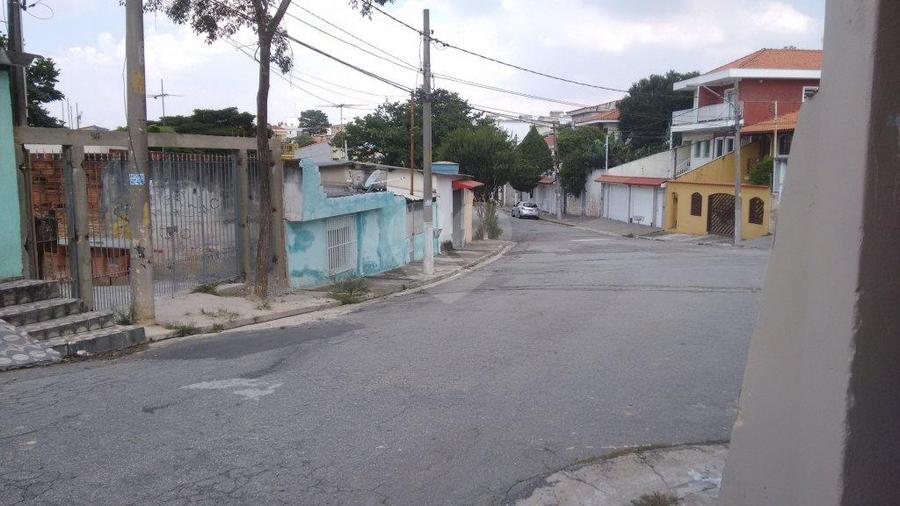 Foto REO176496