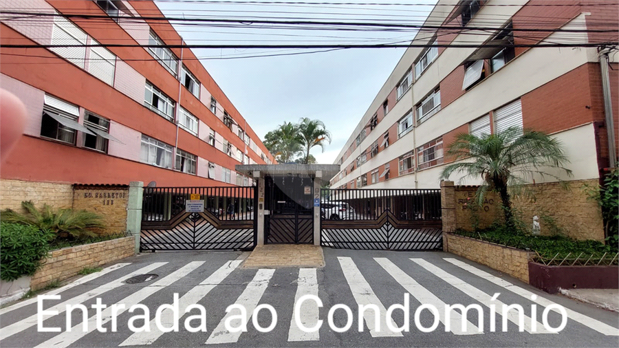 Foto REO176506