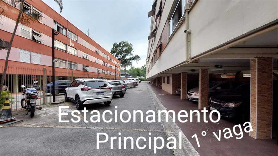 Foto REO176506