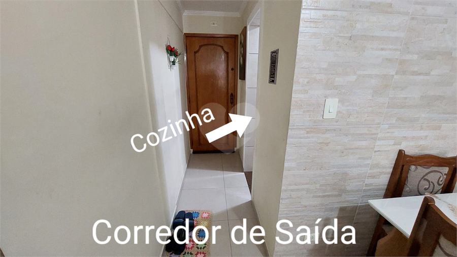 Foto REO176506