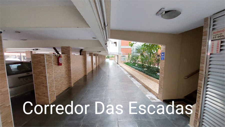 Foto REO176506