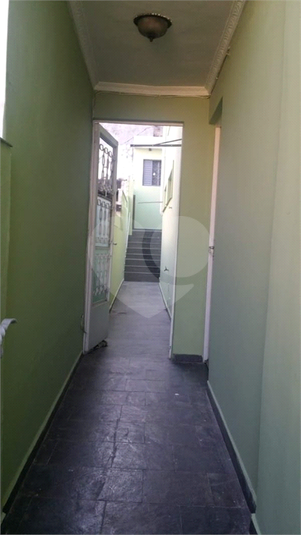 Foto REO176703
