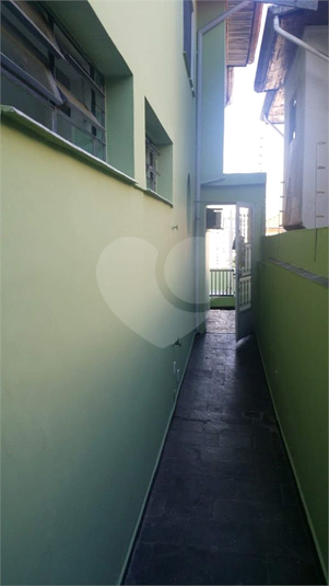 Foto REO176703