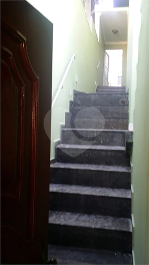 Foto REO176703