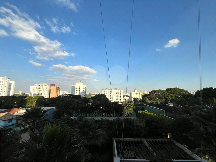 Foto REO176949