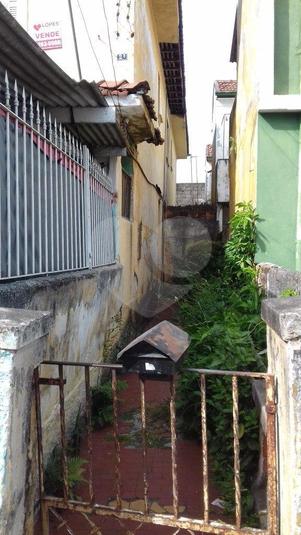Foto REO176980