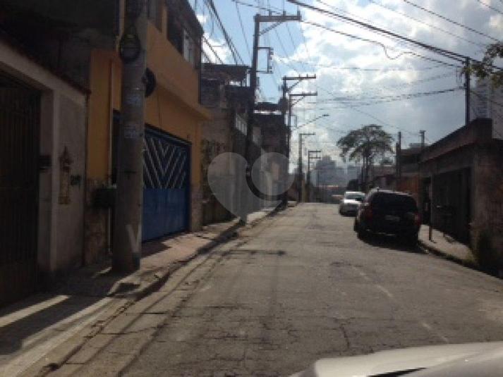 Foto REO177471