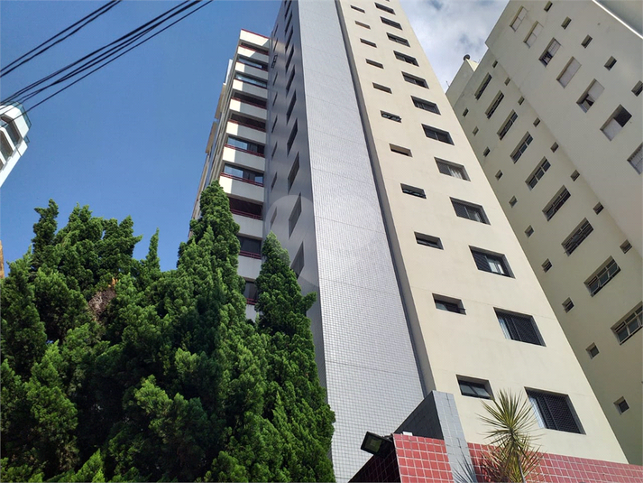 Foto REO177472