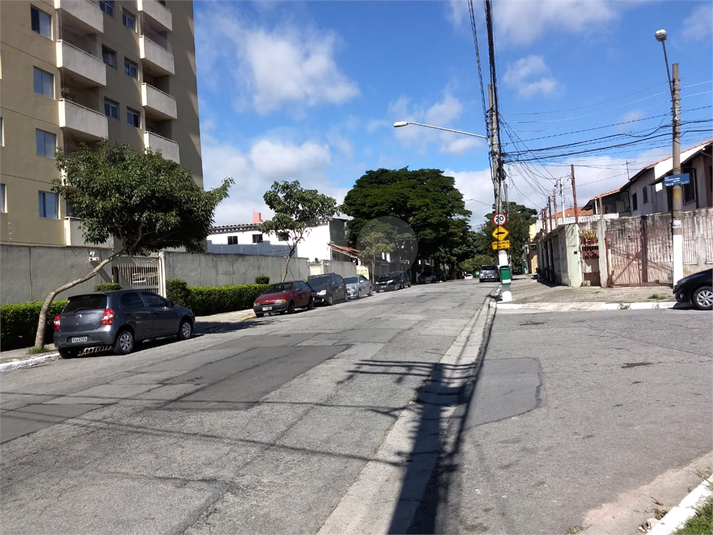 Foto REO17768