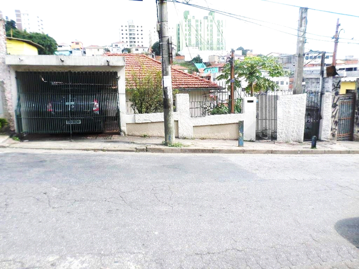 Foto REO177887