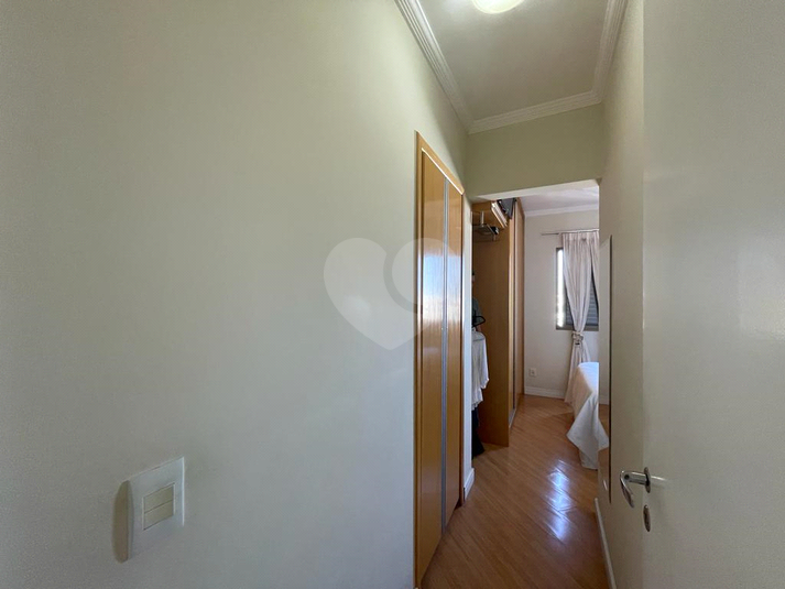 Foto REO177959