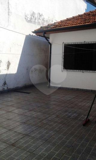 Foto REO178250