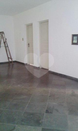 Foto REO178250