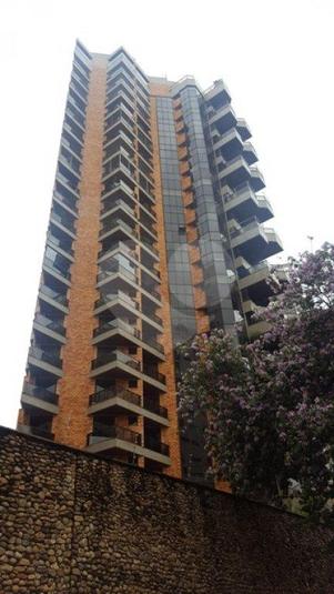 Foto REO178562