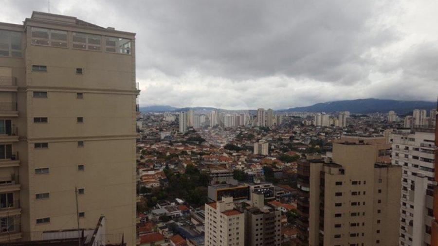 Foto REO178562