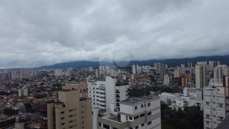 Foto REO178562