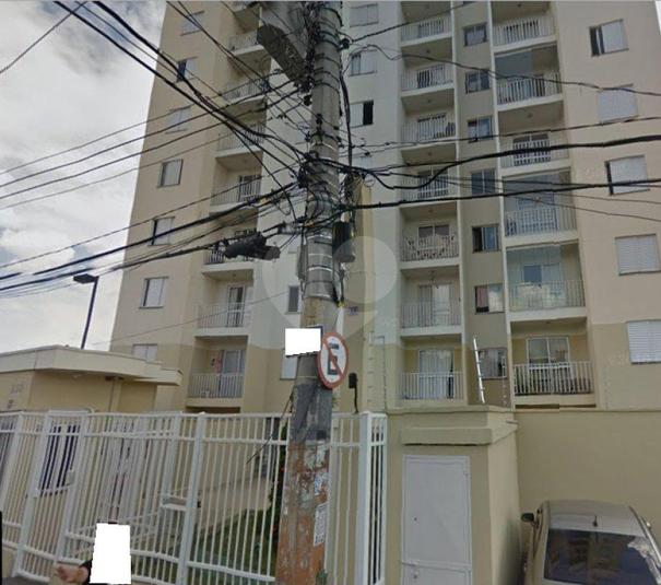 Foto REO178654