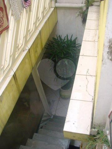 Foto REO179157