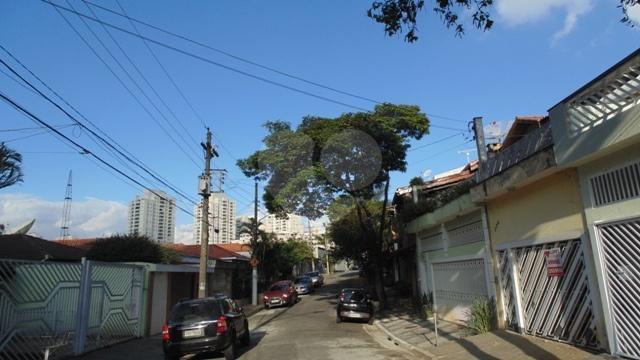 Foto REO179157