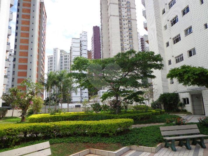 Foto REO179269