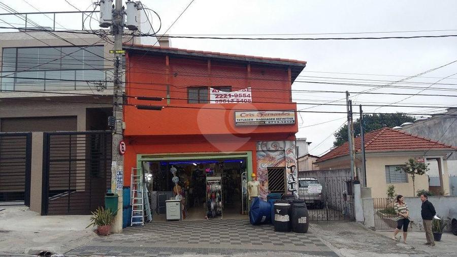 Foto REO179294