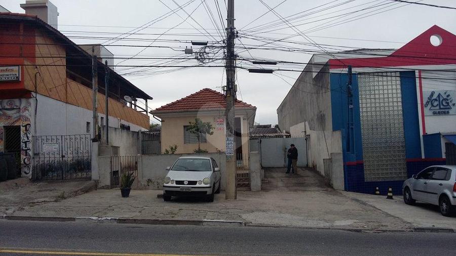 Foto REO179295