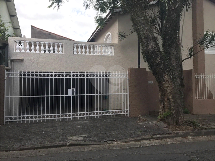 Foto REO179368