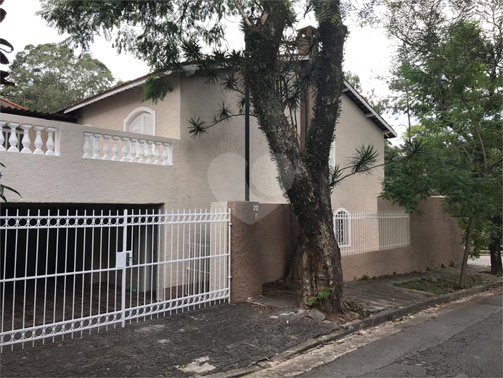 Foto REO179368
