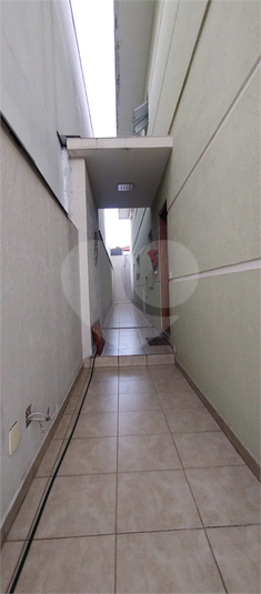 Foto REO179387