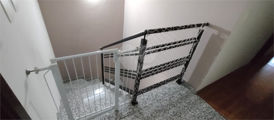 Foto REO179387