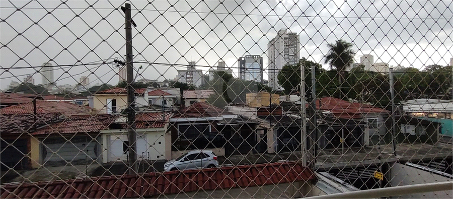 Foto REO179387