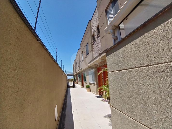 Foto REO179397