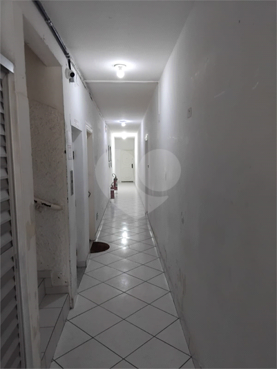 Foto REO179448