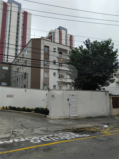 Foto REO179448