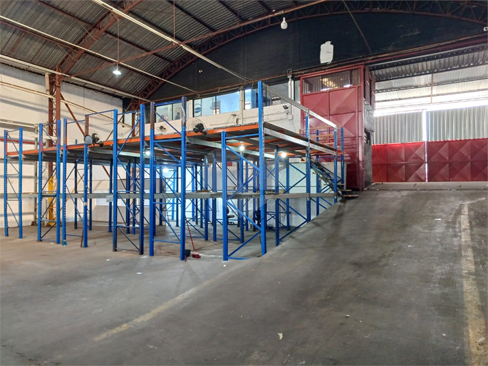 Foto REO179449