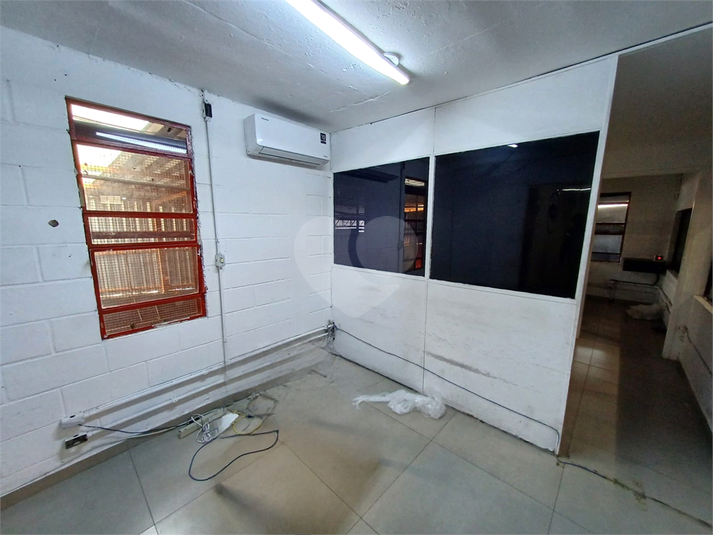 Foto REO179449
