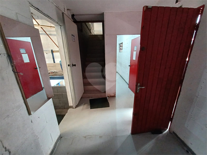 Foto REO179449