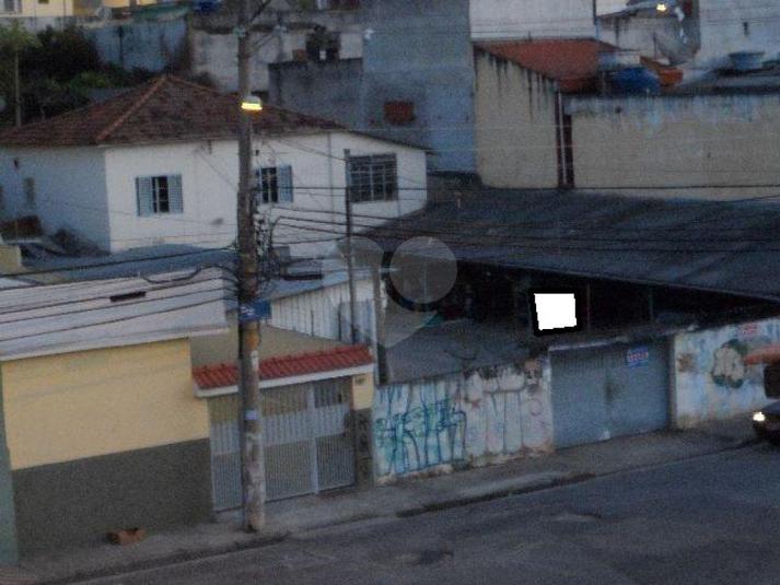 Foto REO179484