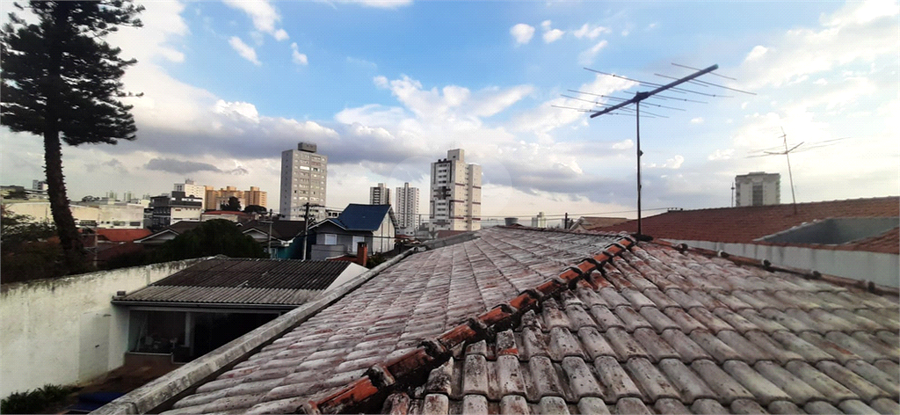 Foto REO179517