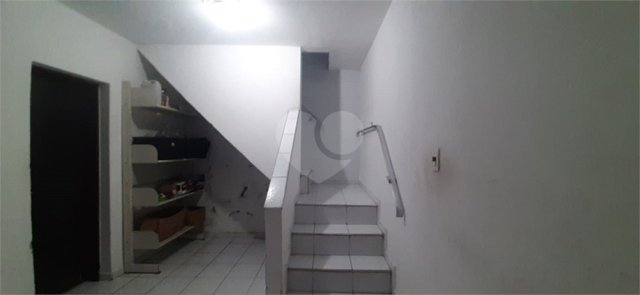 Foto REO179517