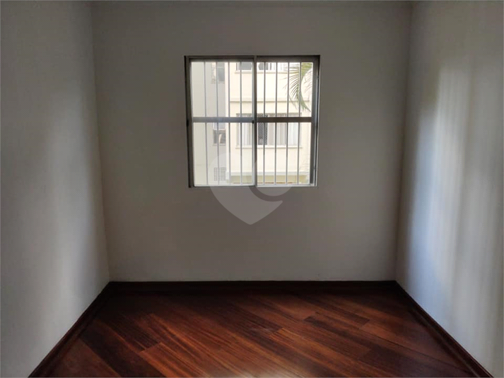Foto REO179836