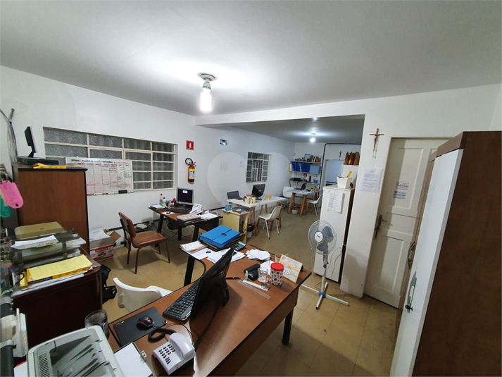 Foto REO179991