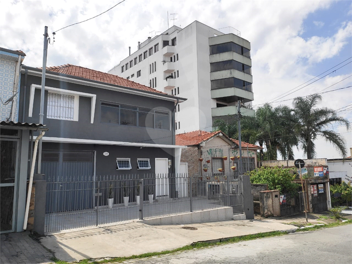 Foto REO179991